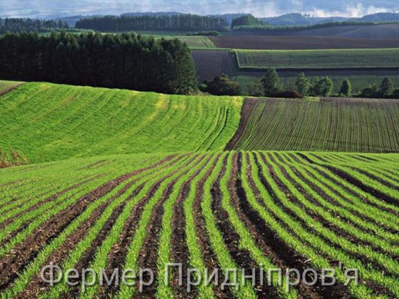 З початку року власники земельних ділянок Київщини за використання земельних угідь додатково вже сплатили 93,6 млн грн податків