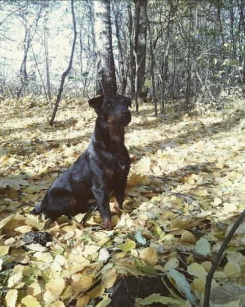 «Матусь, вирушаю… Ти, рідна, мусиш розуміти…» - історія хмельничанина Василя Ільєва, який загинув у 24