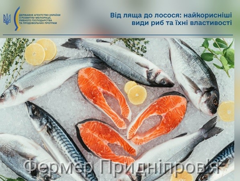 Морепродукти та їх вплив на здоров'я людини