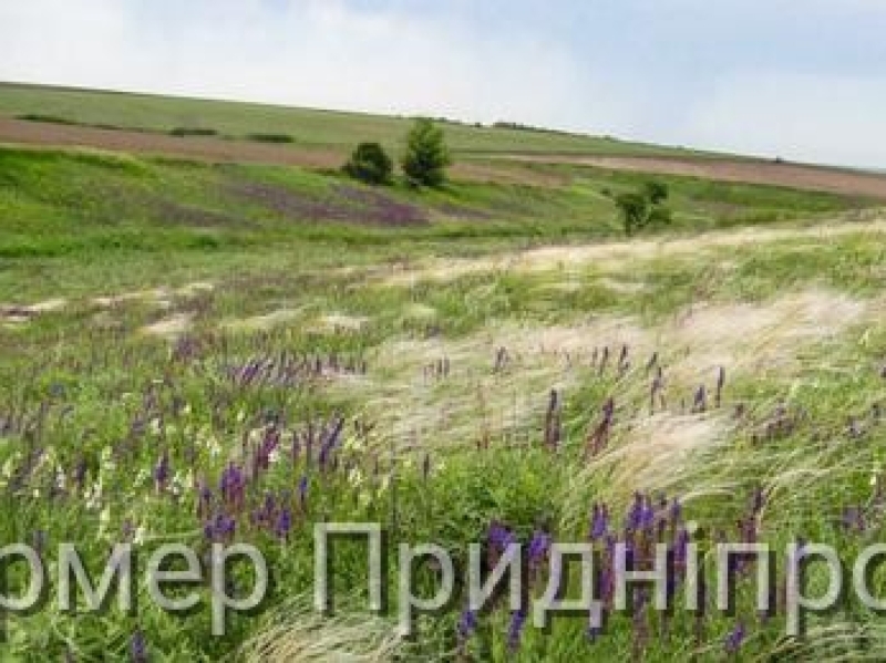 Ніч у Січеславщині: з тривогами, але без вибухів